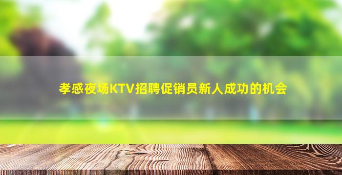 孝感夜场KTV招聘促销员新人成功的机会